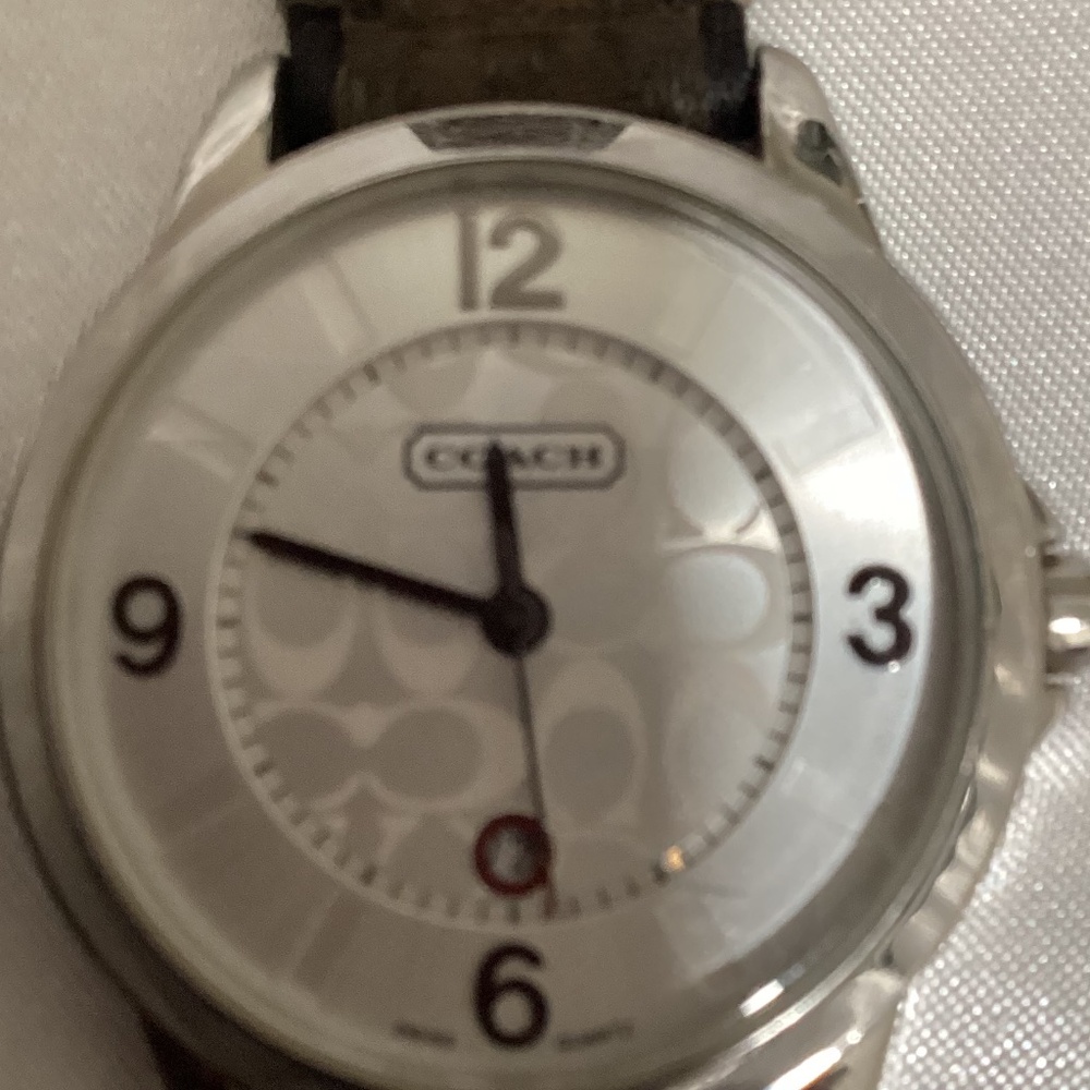 Timeless Elegance: Classic Signature Silver Dial Fabric (Brown/Beige) - Picture 2 of 5